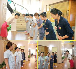 艾青蓮的多元服務(wù)之旅 美牙培訓(xùn)與婚姻介紹的雙重機(jī)遇